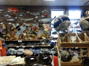 Taxidermy shop